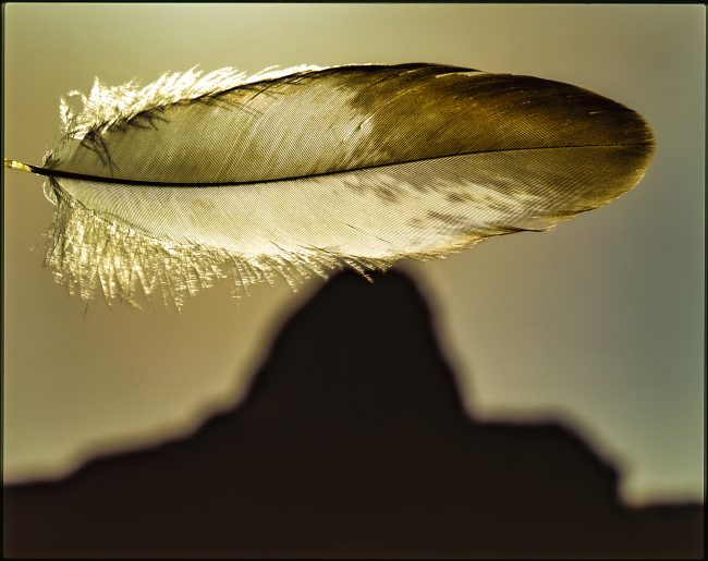 img20210503_19152902_2のコピー